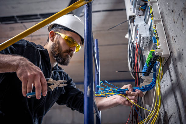 Best Ceiling Fan Installation Electrician  in Ladonia, AL
